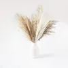 Decorative Flowers Wreaths 30-120pcs Dried Pampas Grass Premium Bouquet with Naturally Pampa for Boho Home Decor Wedding Decoration DIY Small Reed Plants 230227