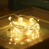 Строки сказочные светильники светодиодные гирлянда праздничная струна световодец DIY 1M 2M 3M USB Powered Outdoor Cooper Cooper Рождественская свадебная вечеринка