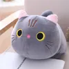 Plush Dolls 25/100cm Cute Soft Cat Plush Pillow Sofa Cushion Kawaii Plush Toy Stuffed Cartoon Animal Doll for Kids Baby Girls Lovely Gift 230227