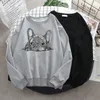 Bluzy Bluzy Women French Bulldog Kobiety Kobiety Kawaii Dog Funny Graphic Pullovers Unisex Casual Oneck Blue 230227