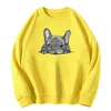 Bluzy Bluzy Women French Bulldog Kobiety Kobiety Kawaii Dog Funny Graphic Pullovers Unisex Casual Oneck Blue 230227