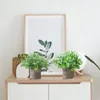 Fiori decorativi 3Pcs Set Simulazione Eucalipto Mini Piante verdi artificiali in vaso per interni Home Office Desk Decor Falso verde Bonsai