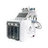 Écran de beauté de la santé microdermabrasion machine de soins de la peau du visage machine de microdermabrasion professionnelle