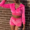 Women Spring Korean Velvet Sportwear dwuczęściowy zestaw z kapturem seksowne odsłonięte ubrania pępka