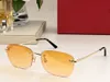 Okulary przeciwsłoneczne dla kobiet mężczyzn Słońca Słoneczne Styl mody chroni oczy Oczy Uv400 z losowym pudełkiem i obudową 0148