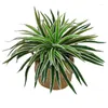 Fleurs décoratives Faux Plantes Artificielle Chlorophytum Simulation Ananas Herbes Faux Succulent En Plastique Aloès Pour La Maison Véranda Décor