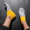 Herrstrumpor Sport Ankel Socks Men Nylon Outdoor Basketball Bike Running Football Breattable Nonslip Colorful No Show Travel Socks EU 3844 Z0227