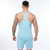 Herren-T-Shirts, Sommer, einfarbig, Herrenweste, schmal, I-förmiges Fitnessstudio, Fitness, Sportbekleidung, Polyester, schnell trocknendes Mesh, lässiges Oberteil 230227