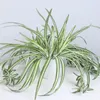 Decorative Flowers Artificial Chlorophytum Plant Orchid Flower Bracket White-Sided Bonsai Simulation Rattan Home Wall Hanging Vertical