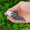 Offerta speciale Coltello a lama pieghevole H2372 Lama satinata 420C Manico in acciaio inossidabile a tre fori Coltelli per cartelle tascabili EDC per esterni