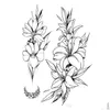 Временные татуировки маленькая Fl Flower Arm