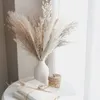 Decoratieve bloemen kransen 30 stks gedroogd pampas gras premium droog boeket met natuurlijk pampa voor boho home decor bruiloft decoratie diy kleine riet planten 230227