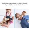 Science Discovery Model Anatomy Doll Human Torso Body Model Anatomy Anatomical Internal Organs For Teaching Education Soft Toy Dropship 230227