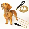 Colliers pour chiens Laisse en métal Chaîne en acier inoxydable Laisse pour animaux de compagnie en or 18 carats avec poignée en cuir souple pour entraînement à la marche de taille moyenne