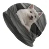 Boinas West Highland White Terrier Brincando com Borboleta Bonnet Chapéu Malha Hip Hop Unissex Adulto Cachorro Westie Cachorro Gorros De Inverno Boné