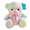 Super Cute Rainbow Teddy Bear Plush Toy Bed To Accompany The Doll Girl Birthday Present 35 cm