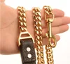 Collars Dog Leash Pieto piombo inossidabile in acciaio inossidabile 14 mm Gold Chain Collar Piece per animali