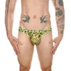 Cuecas masculinas 4 pçs/lotes cueca leopardo malha translúcida sissy calcinha gay transparente cuecas cuecas jockstrap slip homme tangas