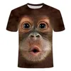 T-shirts voor heren 2023 T-shirt 3D-print Animal Monkey Korte mouw Grappig ontwerp Casual Top Drop