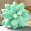 Succulent Plants Plush Pillow 25 cm Simulation Plants Stuffed Office Chair Cushion On Female Creative Gifts Toys