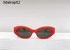 2023 Nowy produkt P Home Sunglasses Ins Online Star Fashion Plate Okulary przeciwsłoneczne Kobiece pr26zs