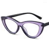 Zonnebril Mode Anti-Blauw Licht Bril Unisex Cat Eye Brillen Patchwork Frame Optische Brillen Eenvoud Brillen Retro Sier