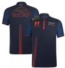 Neues F1-Poloshirt, Sommer-Team-Kurzarmshirt, gleich individuell