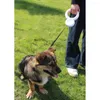 Kołnierze dla psów Wysuwana smycz z LED 10-metrową bezpieczeństwo spacery Smyczowe Uchwyt przeciwpoślizgowy dla małych średnich psów