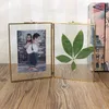 Rahmen Metallkette Hängendes Glas Doppelseitiger Po-Bilderrahmen Wandanzeige Getrocknete Pflanzenblumen-Kunstwerk-Dekor