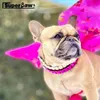 CHARTS Fashion Pet Dog Glass Diamond Collar Jewely för små medelstora hundar Chihuahua Schnauzer Teddy French Bulldog Pug Walking Gyl01