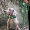 LEASSHES 150 cm äkta läderhund Leash Strong Pet Dogs Lead Rep stora hundar som går i linje för Pitbull German Shepherd