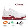 2024 tn plus scarpe da corsa uomini donne tripli ball da tennis rosso bianco rossa USA dal 1972 Cherry Hyper Violet Gradients Atlanta Lemon Lime Trainer Sports Sneaker