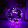 LED string light starry Christmas tree decoration light indoor outdoor decorative black wire 50m 150ft festival holiday party lighting EU plug blue warm white rgb