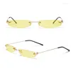 Lunettes de soleil Xylai GS09 Unisexe Adulte Accessoires 6 Modèles Lunettes Masquerade Ball Lunettes