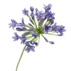 Fleurs décoratives belle fleur d'agapanthe artificielle largement utilisée Anti-fade longue durée bonne simulation d'effet visuel
