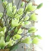 Dekorativa blommor magnolia blommor utsökt falsk fin textursimulering bevarad