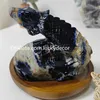 Natural Sodalite Lizard Reptilian Figurine Arts Exquisite Carving White Blue Quartz Crystal Gemstone Animal Chameleon Sculpture Beautiful Decor for Home Office