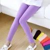 Shorts Girls Pants Soft Elastic Modal Cotton Kids Leggings Candy Color Skinny Trousers Solid Teenage Clothing 230601