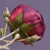 Fleurs décoratives 56cm 5 têtes soie rose bourgeon fleur artificielle pour la décoration de fête de mariage bricolage à la main faux artisanat haute simulation roses