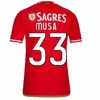 23 24 Benficas Soccer Jerseys Camisetas Player Player Version 2023 2024 Home G.Ramos Neres Aursnes Rafa Musa Otamendi Grimaldo J. Mario Camisa Champions Shirt