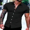 Chemises décontractées pour hommes chemise d'été pour hommes hawaïenne surdimensionnée à manches courtes impression d'arbre de noix de coco mode plage robe de soirée SX-5XL