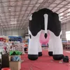 8/10/13/16ft 또는 맞춤형 거인 팽창 식 네덜란드 젖소 젖소를 중국에서 제작 한 광고를위한 스윙
