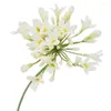 Fleurs décoratives belle fleur d'agapanthe artificielle largement utilisée Anti-fade longue durée bonne simulation d'effet visuel