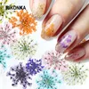 Conjuntos 10 cajas Charmas de uñas de flor secas 3D Joyas de coloridas de flores secas Set para manicura DIY Japón Corea Summer UV Nail Art Decorations Cortina