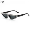 Sunglasses Vintage Eyewear Shades UV400 Cat Eye Rhinestone Frame Diamond