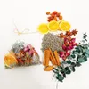 Dekorative Blumen im Stil von Geschenken, DIY-Zubehör, Epoxidharz, Hochzeitsdekoration, echte getrocknete Blumen, Kerzen, Herbariumpflanzen