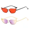 Sunglasses Cat S Eye Sea Pattern Lens Women Cosplay Beach Sunproof Metal Frame Sun Glasses For Optical Street Snap