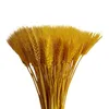 Decorative Flowers 100pcs Artificial Natural Wheat Dried Bouquet Simulation Living Room Decoration Wedding Sign