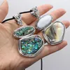 Pendant Necklaces Natural Abalone Shell Necklace Exquisite For Women Jewelry Gift Length 55 5cm