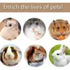 Oyuncaklar 10 PCS Hamster Oyuncaklar Seti Doğal Ahşap Tavşan Gerbils Gine Domuzları Hamster Chew Toys Pet Molar Sevimli Oyuncak Hamster Hamster Oyuncaklar Aksesuarlar